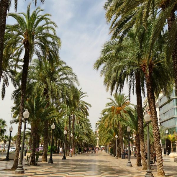 foto4-mutxamel